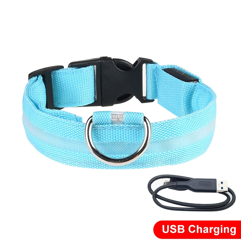 LED Light Dog Collar (USB Charging)