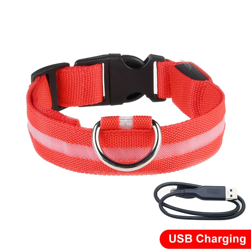 LED Light Dog Collar (USB Charging)