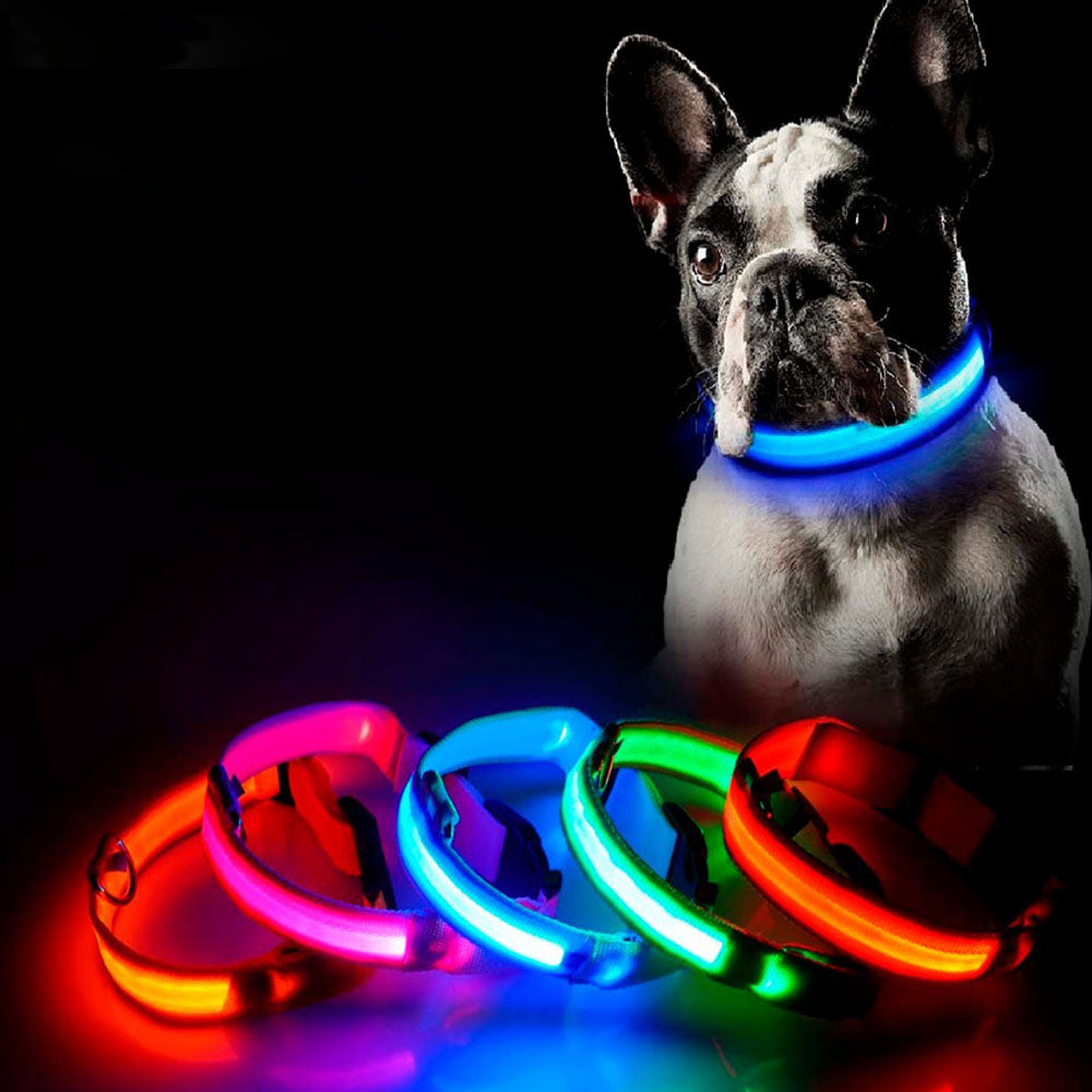 Led for 2025 dog collar