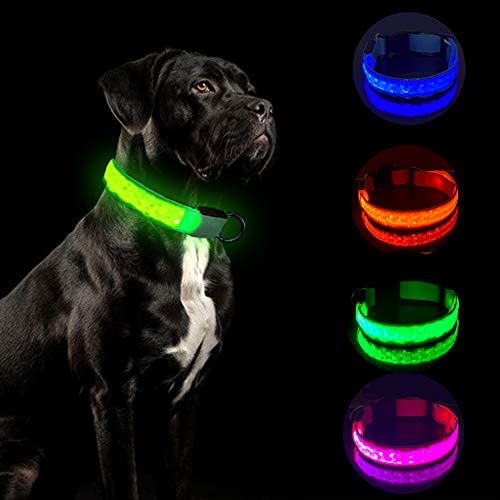 LED Light Dog Collar (Battery)